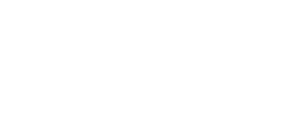 apex-logo