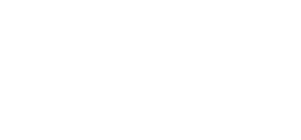 apiconnects-logo