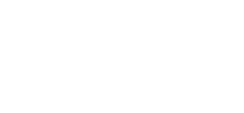 botxp-logo